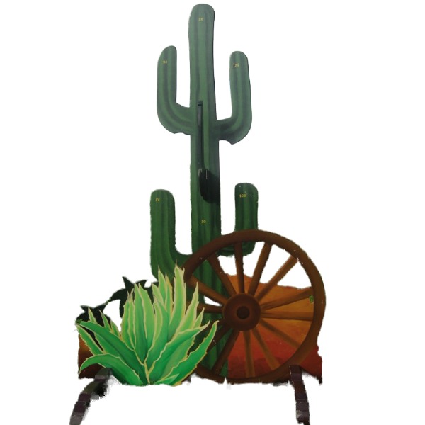 Cactus Ringgooien 