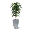 Kunstplant Ficus met pot