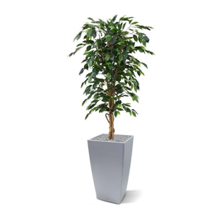 Kunstplant Ficus met pot